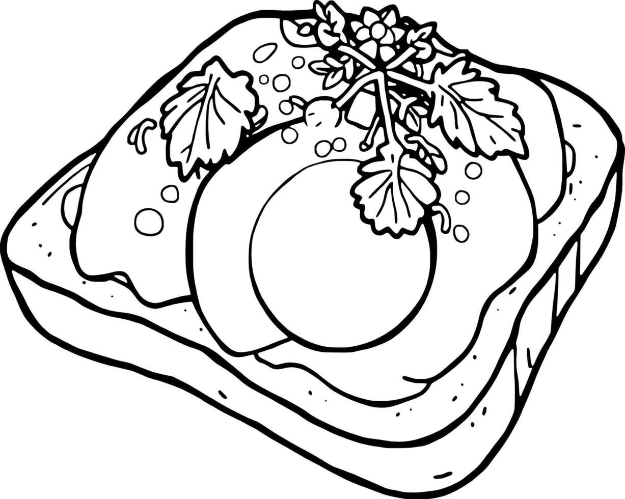 Delicious Avocado Toast with Egg and Herbs A Vibrant Food Illustration vector