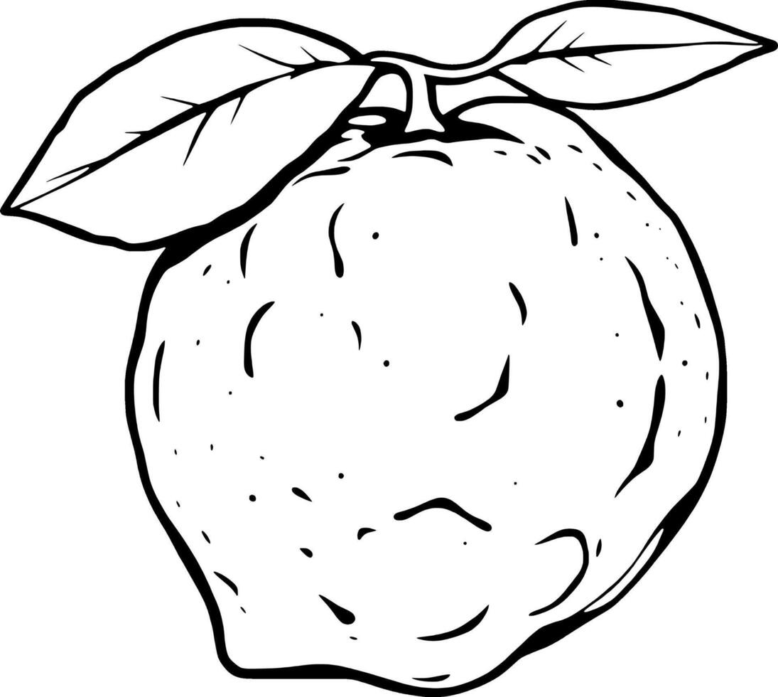 Hand-Drawn Illustration Of A Single Ripe Citrus Fruit With Leaves vector