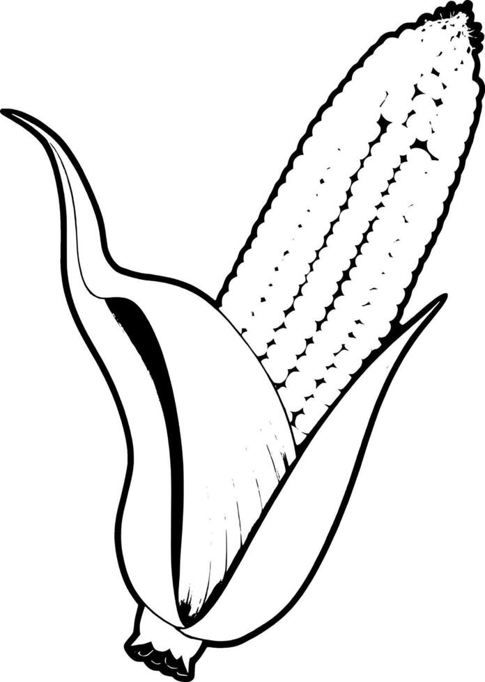 Vibrant Yellow Ear Of Corn With Lush Green Husk Isolated vector