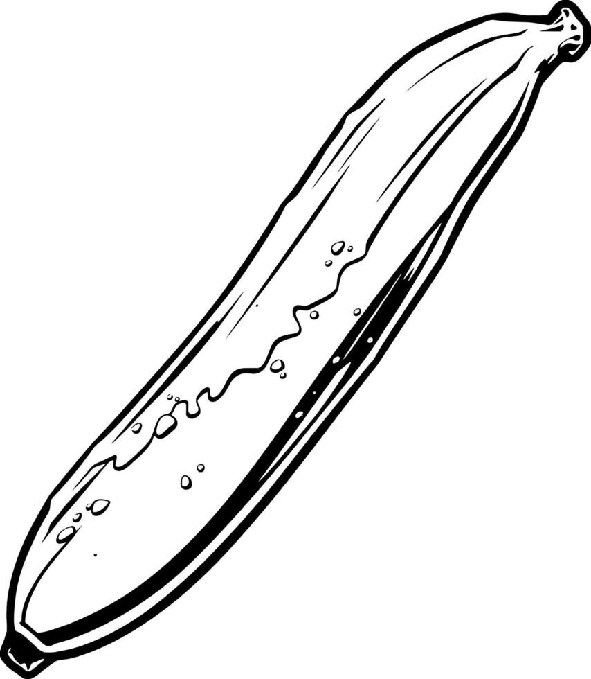 A Detailed Line Drawing Of A Banana With Dripping Liquid vector