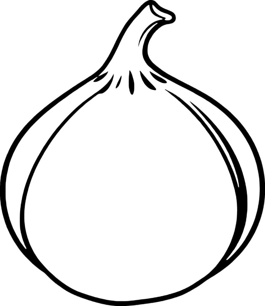Simple Line Drawing Of A Single Ripe Fig Fruit vector