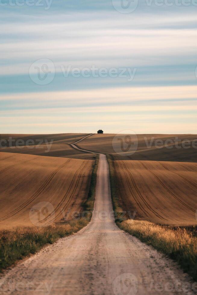A long, winding dirt road stretches towards a single building on the horizon, flanked by expansive fields under a sky with soft, streaky clouds. photo