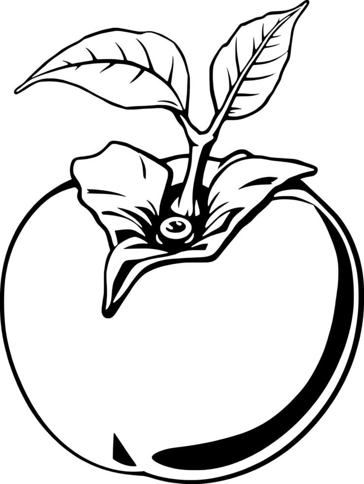 Line Art Illustration Of A Single Ripe Persimmon Fruit With Leaves vector