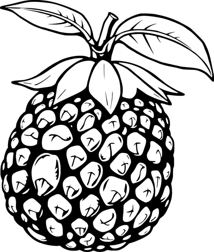 Detailed Line Drawing Of A Single Ripe Round Blackberry With Leaves vector