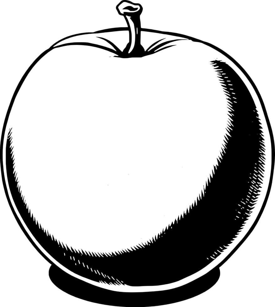 A Detailed Monochrome Illustration Of A Single Apple vector