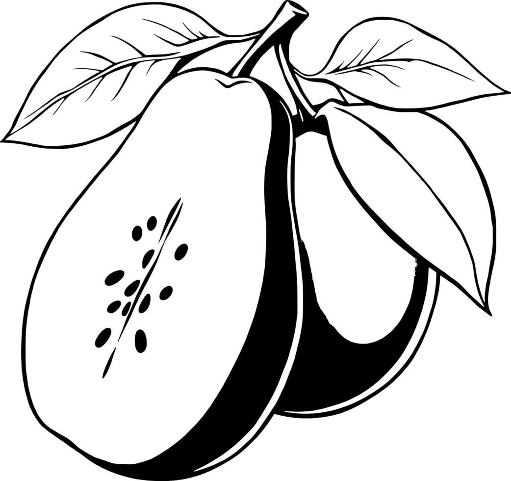 A Halved Pear with Leaves A Striking Black And White Illustration vector