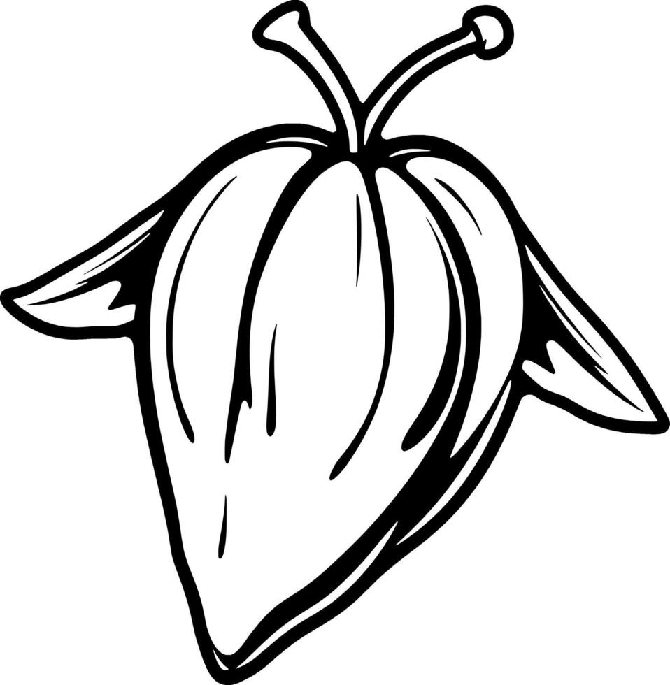 Hand-Drawn Illustration Of A Cacao Pod Botanical Sketch Simple Line Art Black And White Design vector
