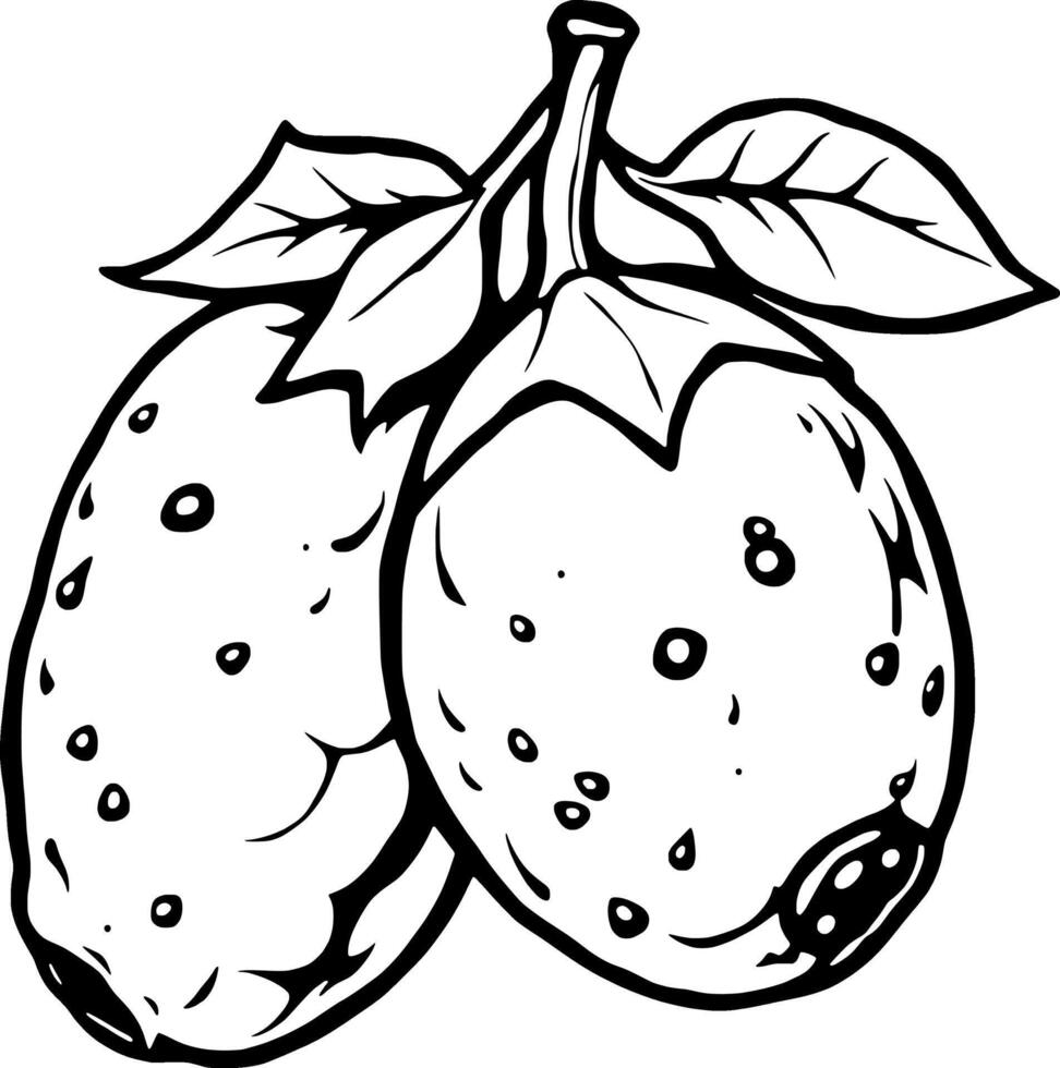 Line Art Illustration Of Two Prickly Pears With Leaves vector