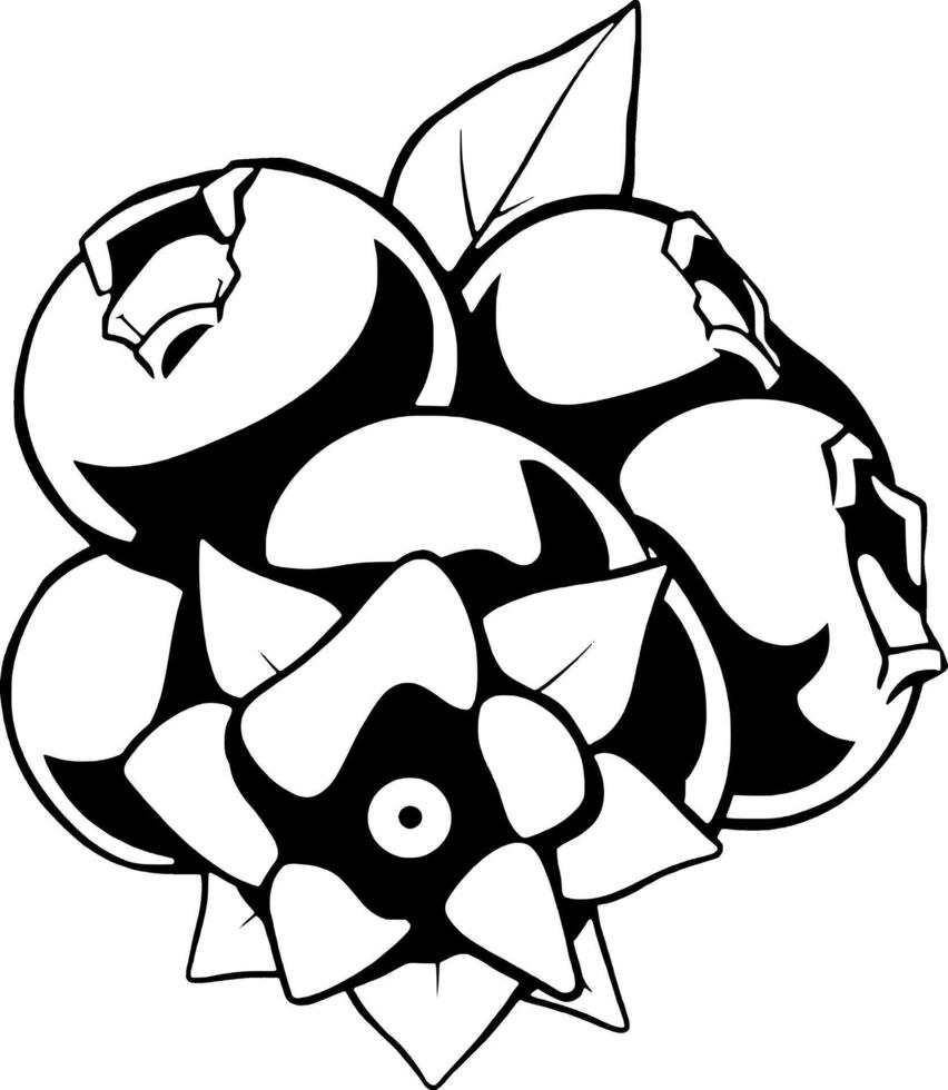 Stylized Black And White Illustration Of A Cluster Of Blueberries With A Flower vector