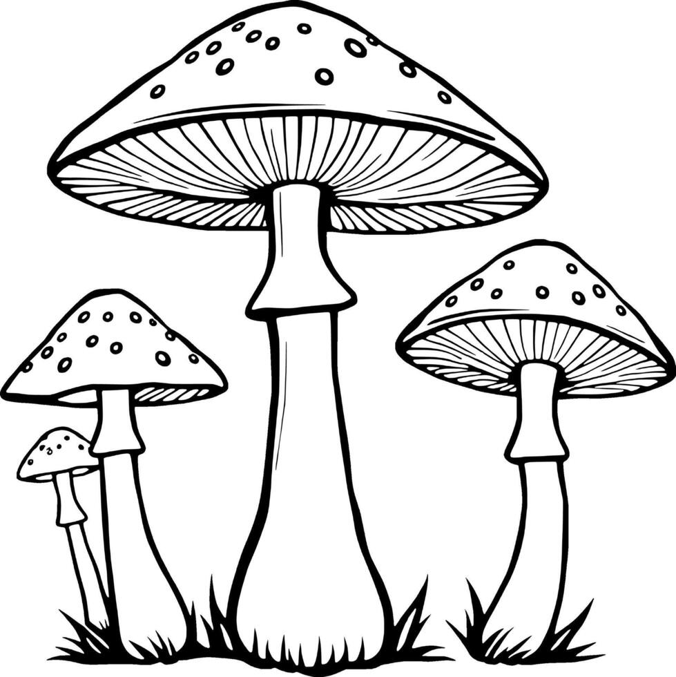 Three Detailed Line Drawings Of Mushrooms In Grass vector