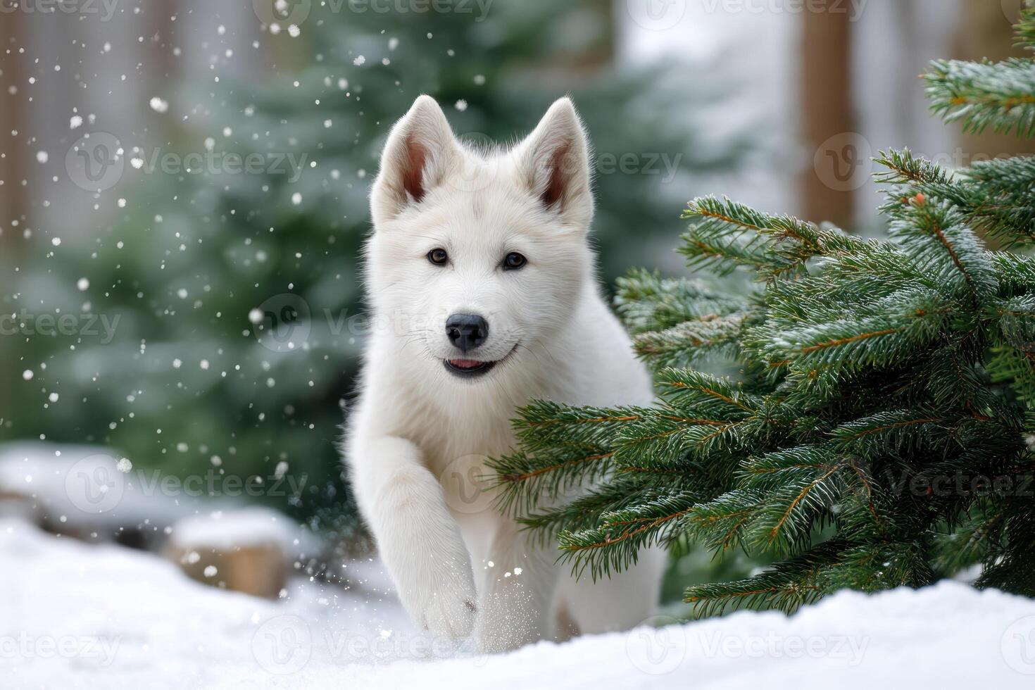 playful white wolf pup frolics in snowy field surrounded by pine trees and falling snowflakes photo