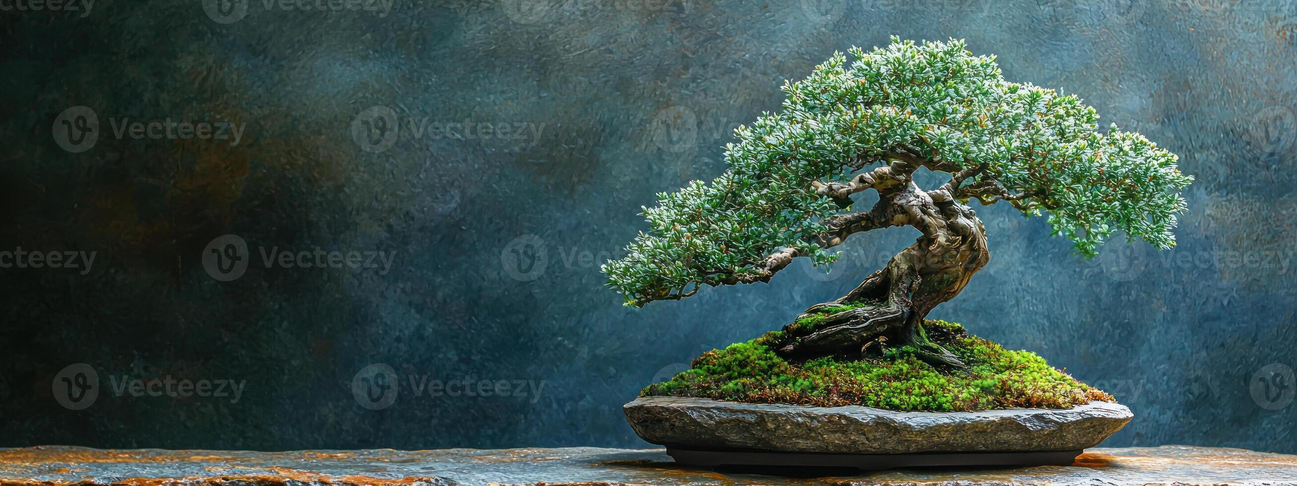 beautifully shaped evergreen bonsai tree sits on stone tray, surrounded by lush moss, against textured background, evoking serenity and balance photo