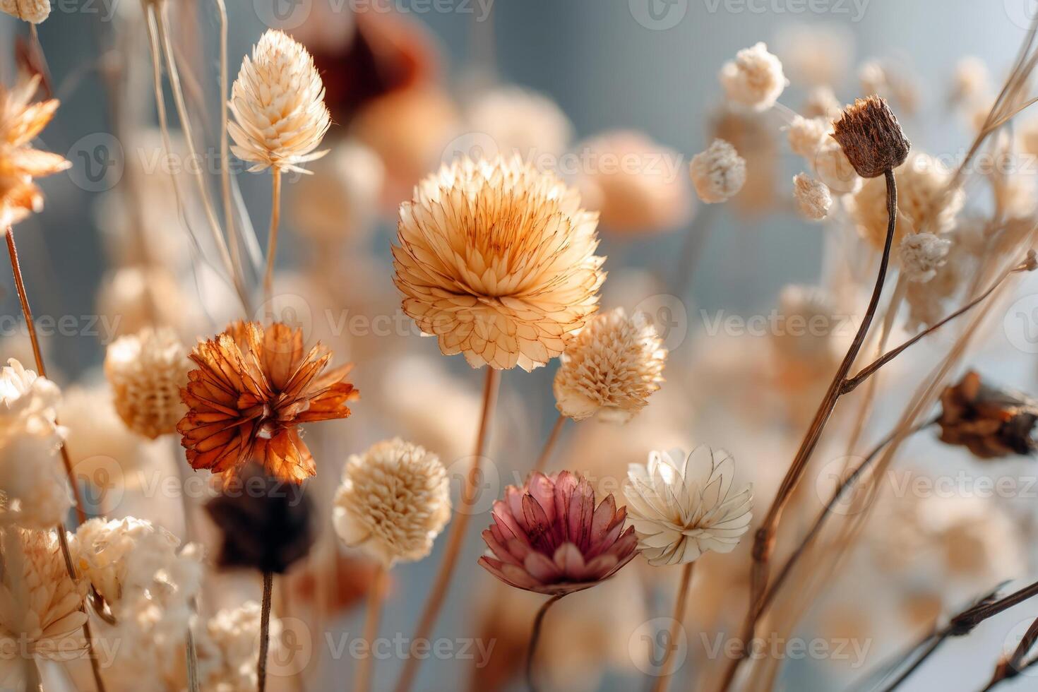 Rustic Bouquet of Dried Field Flowers photo