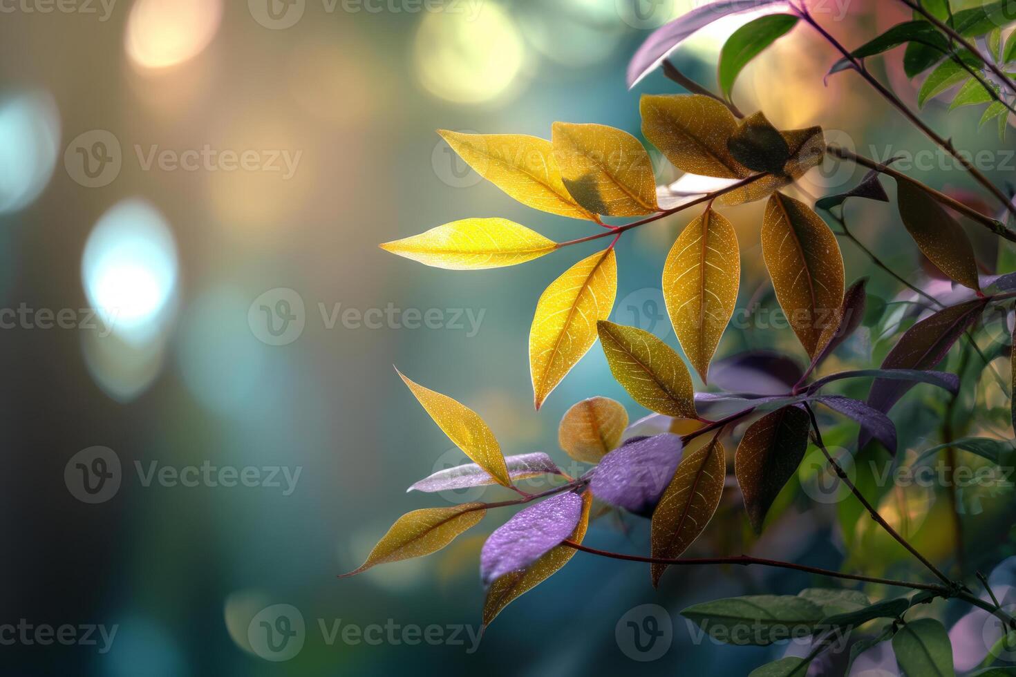 Leaves on branch with soft gradient background photo