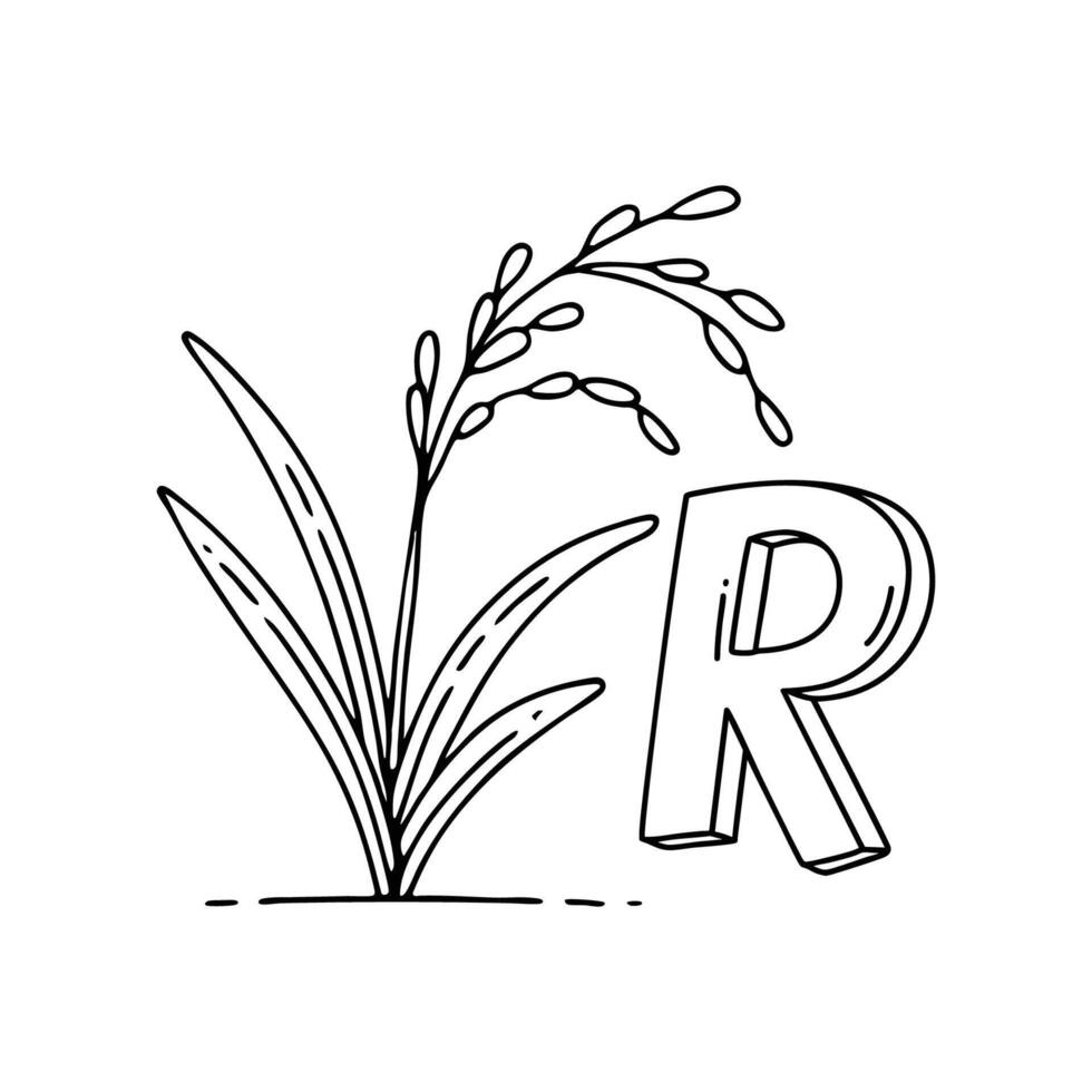 An Illustration of letter R stand for Rice plant vector