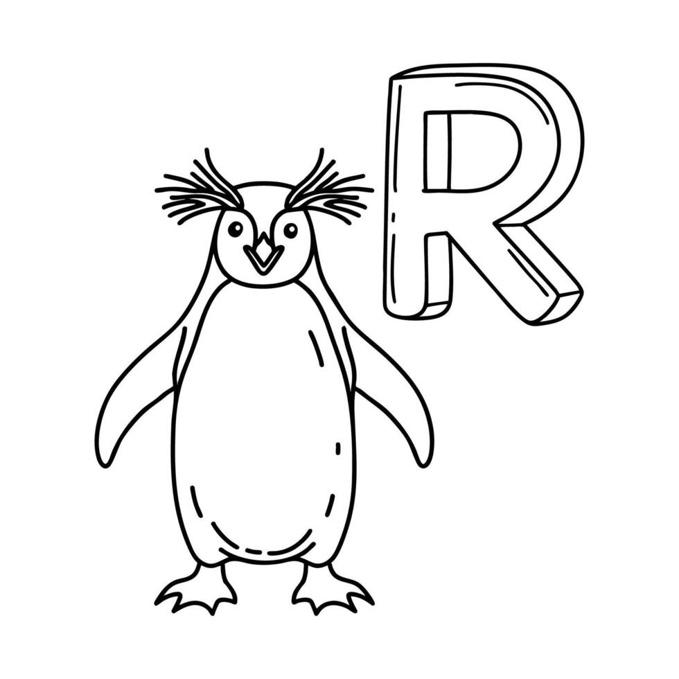 An Illustration of letter R stand for Rockhopper penguin vector