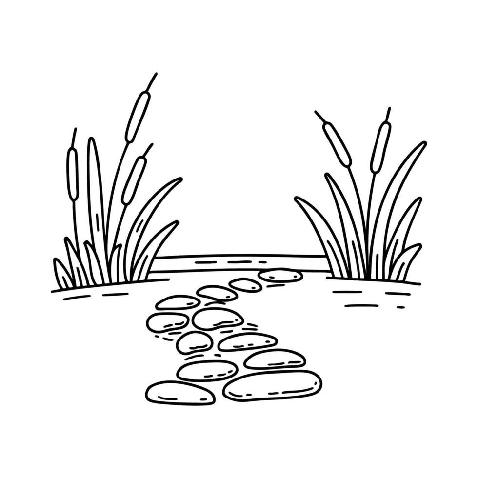 Pebble rock path leading to a quiet river with reeds around vector