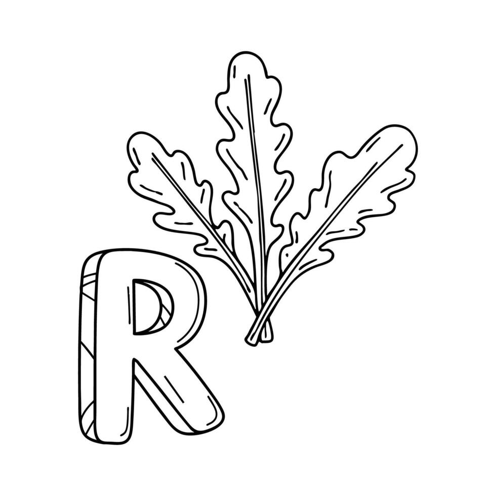 An Illustration of letter R stand for Roquette vector
