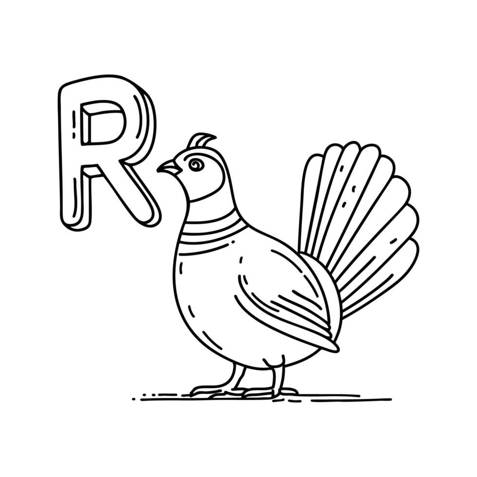 An Illustration of letter R stand for Ruffed grouse vector