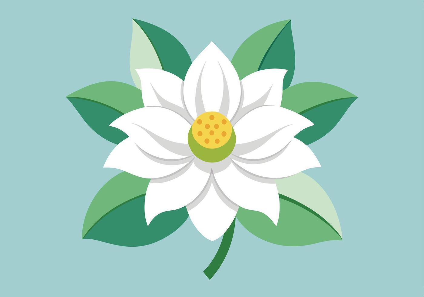 Elegant White Lotus Flower with Green Leaves, Nature Illustration vector