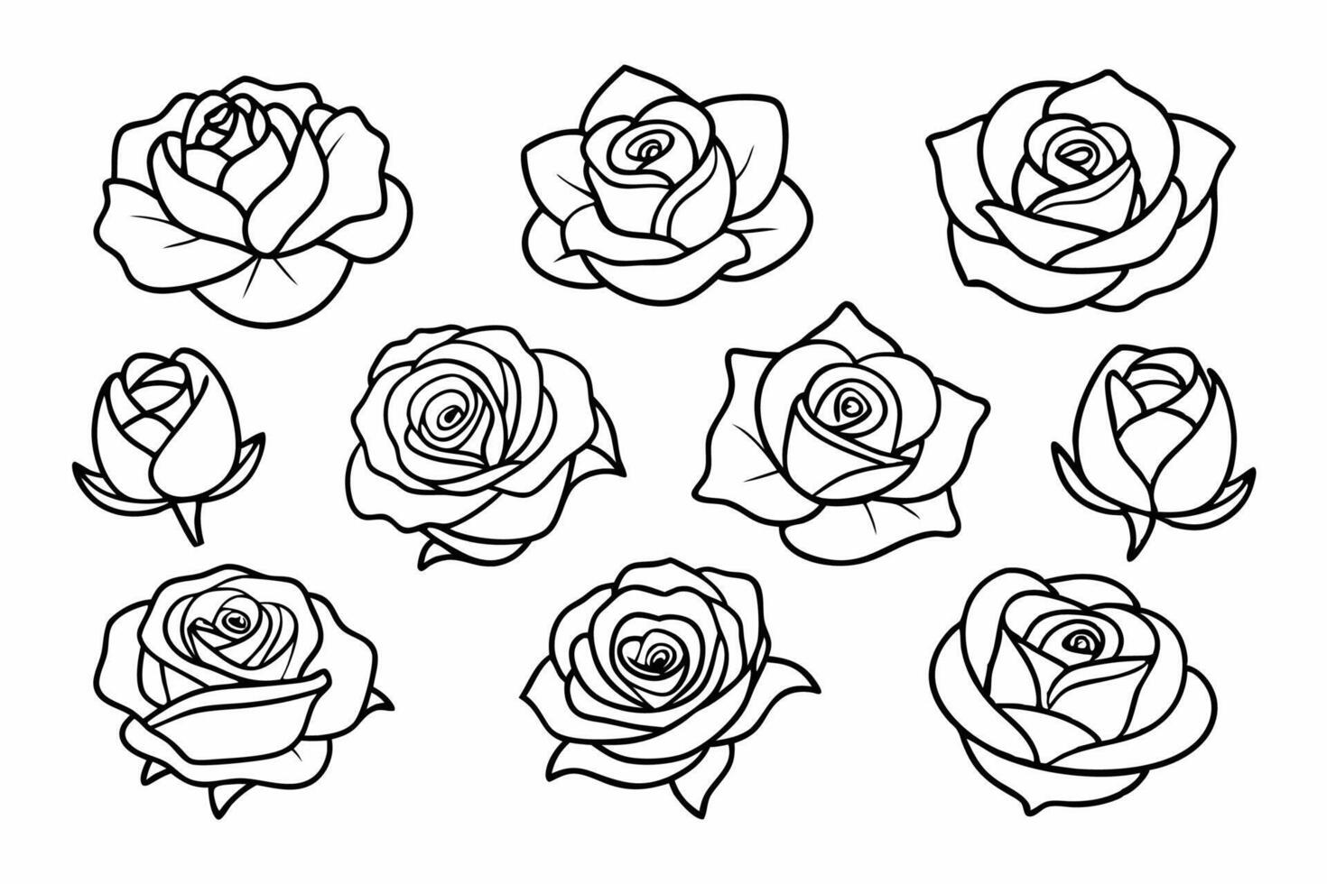 Elegant Floral Outline Pattern of Roses in Full Bloom and Buds Illustration vector