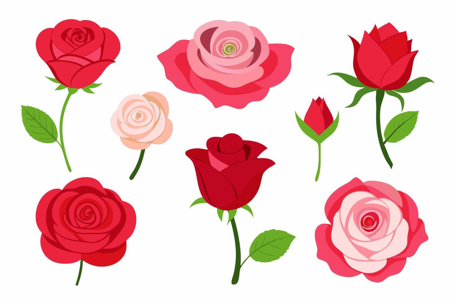 Elegant Assortment of Red and Pink Rose Illustrations on White Background vector