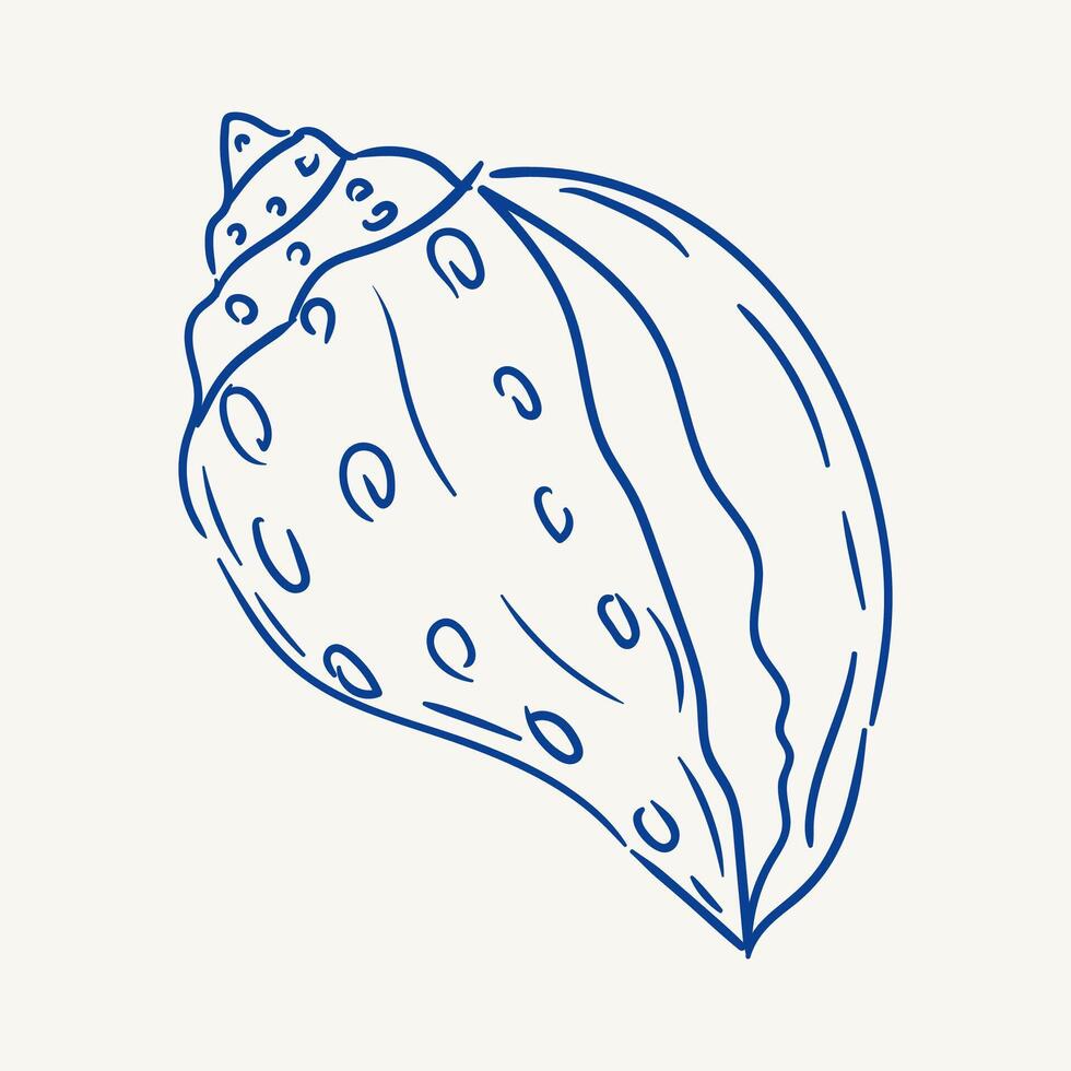 Outline of a shell with detailed patterns and smooth curves on a light background vector