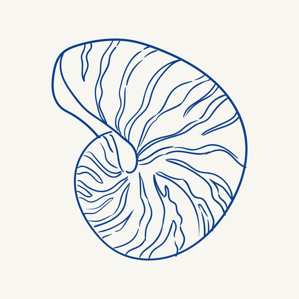 Detailed illustration of a nautilus shell highlighting unique patterns and curves vector