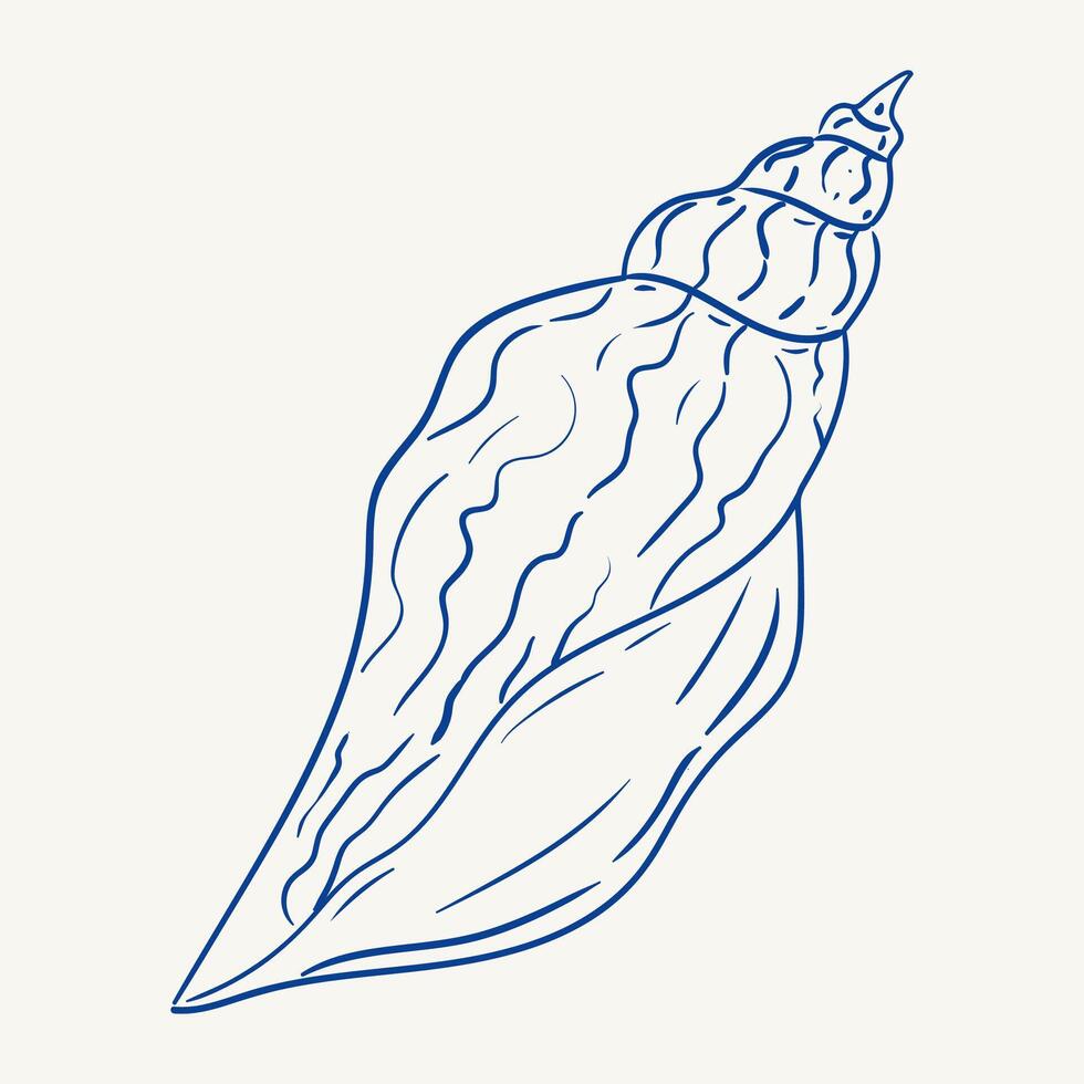 Detailed outline of a sea shell showcasing intricate patterns and textures vector