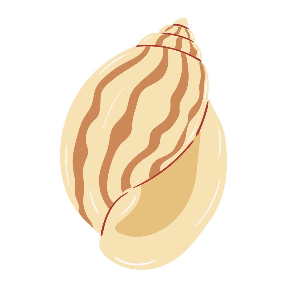 Beautifully detailed shell found on a beach during a sunny afternoon vector