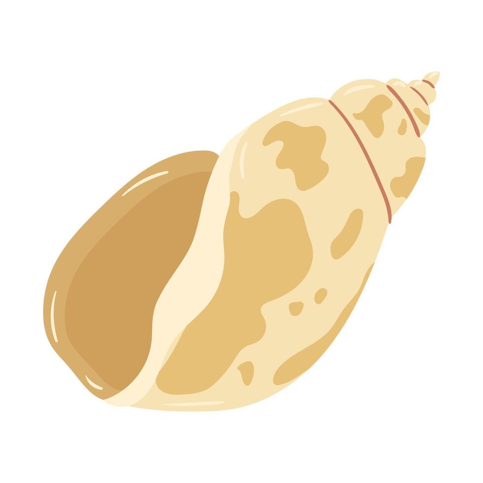 Beautiful beige seashell found on the sandy beach during a sunny day by the shore vector