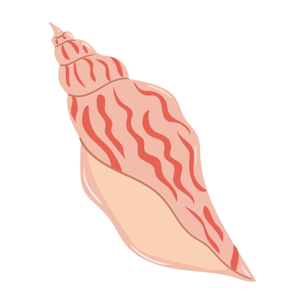 Detailed illustration of a pink seashell with intricate patterns from a coastal environment vector
