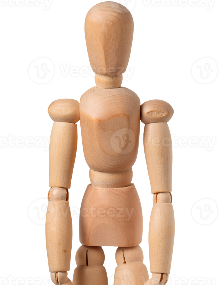 wooden drawing mannequin front view, articulated artist model figure with natural grain texture on isolated background png