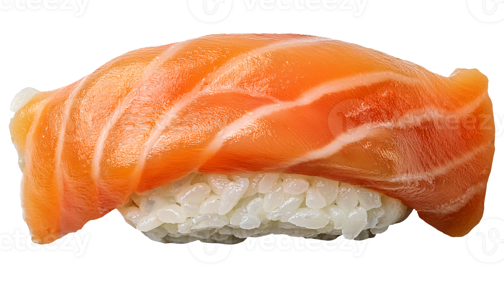 salmon sushi nigiri with raw fish fillet and japanese rice close-up top view on isolated background for traditional asian food and seafood presentation png