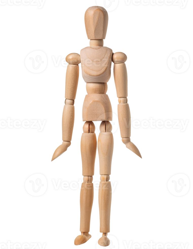 full body wooden drawing mannequin standing pose front view, articulated artist figure model for sketch and anatomy reference on isolated background png