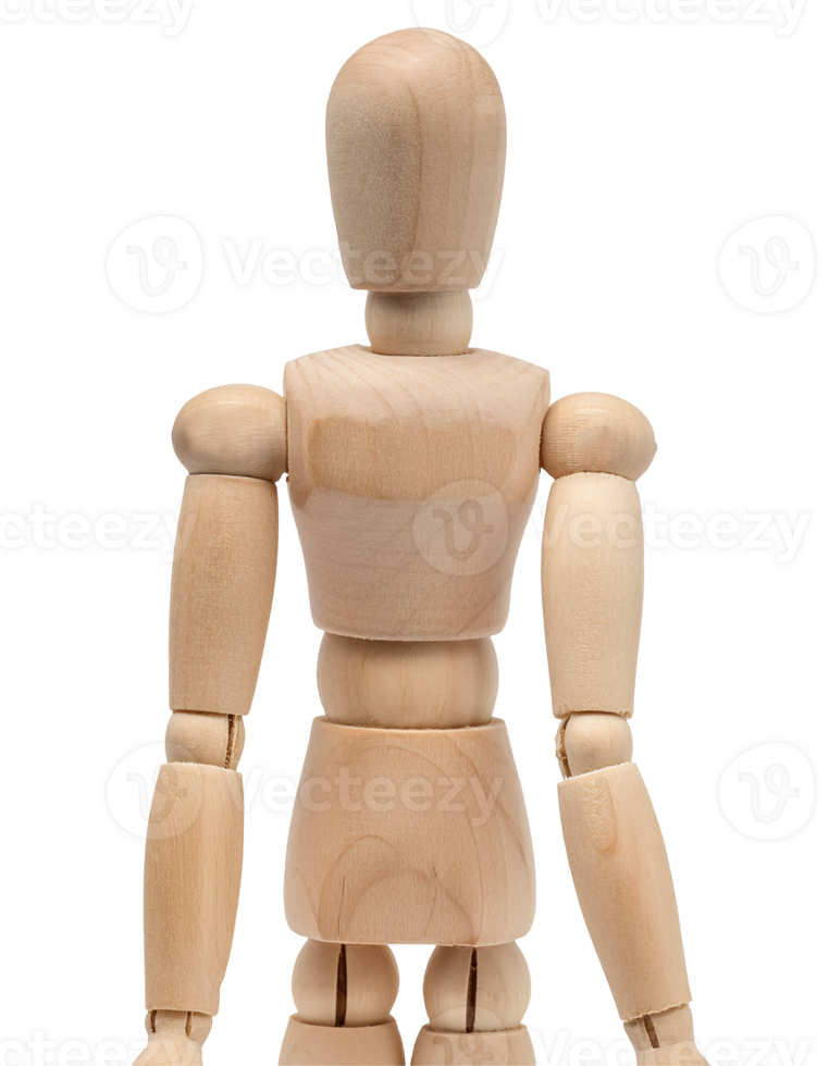 wooden drawing mannequin back view, articulated artist model figure with smooth natural wood texture on isolated background png