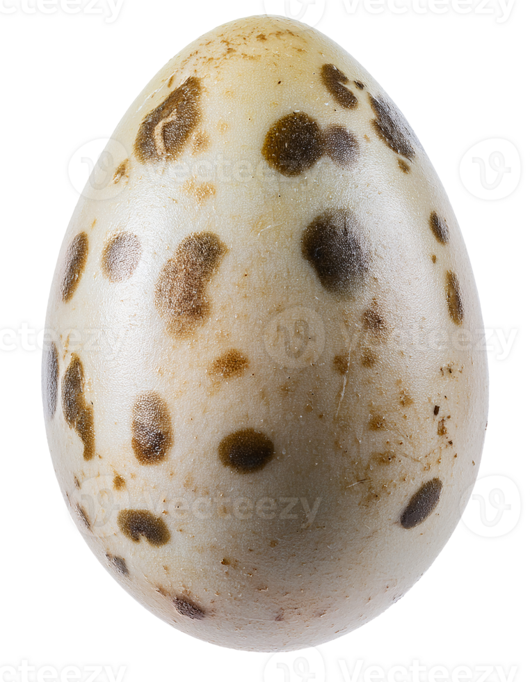realistic fantasy frog egg with brown spotted shell on isolated background for biological and creature concept design png