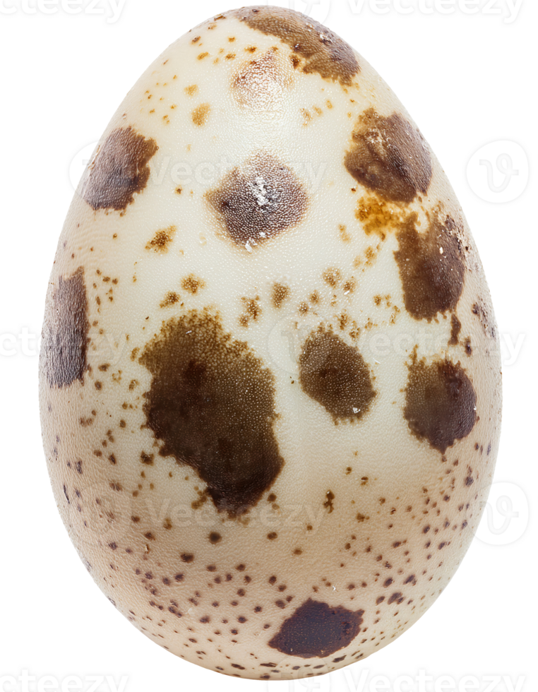high detail close-up of fantasy frog egg with spotted shell texture on isolated background for nature and creature design png