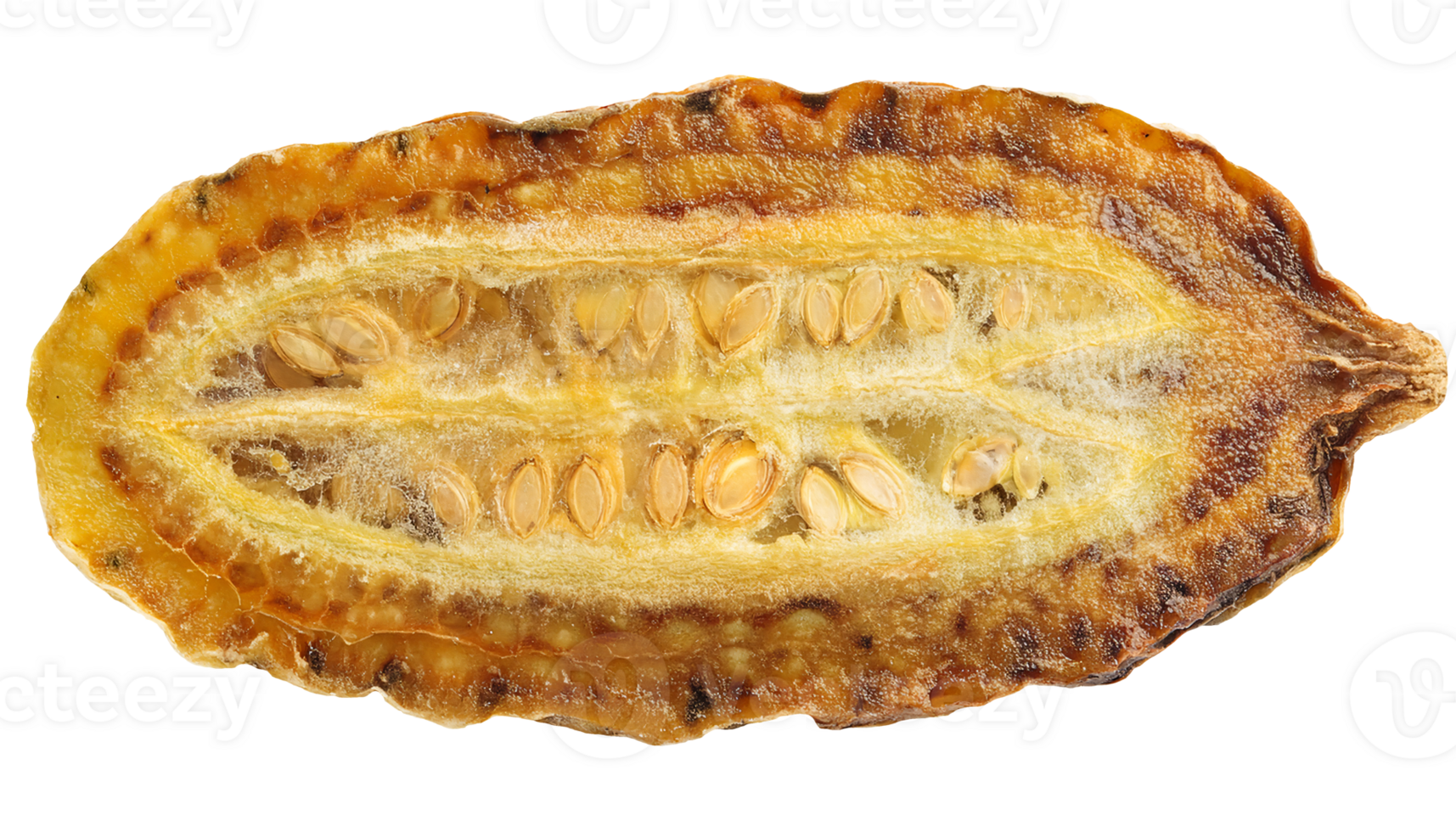 cross section of dried cucumber with visible seeds close-up macro on isolated background for herbal medicine and dehydrated vegetable ingredient png