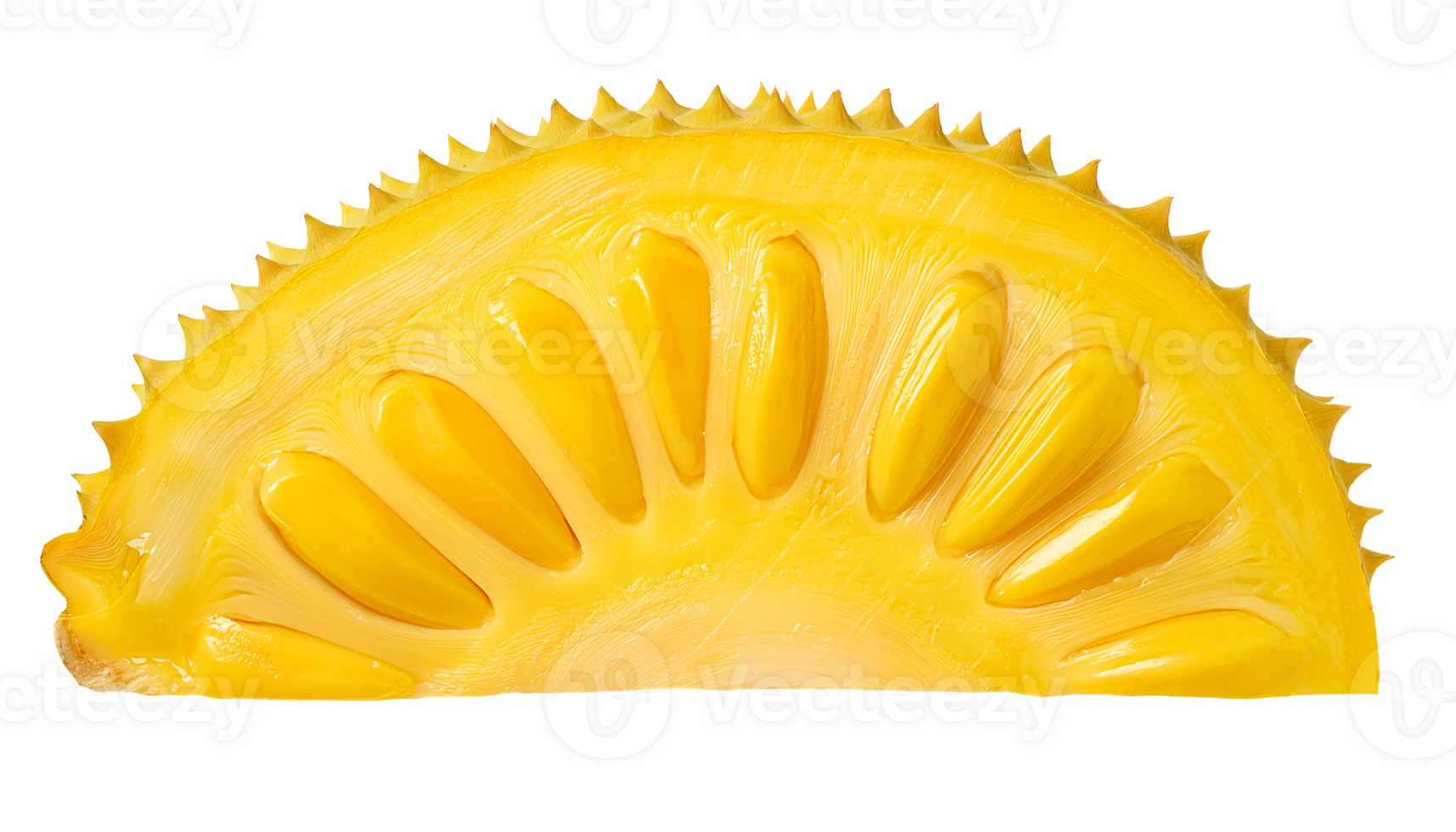close-up of ripe jackfruit cut section with detailed yellow pods and fibrous texture on isolated background for tropical fruit collection and packaging design png