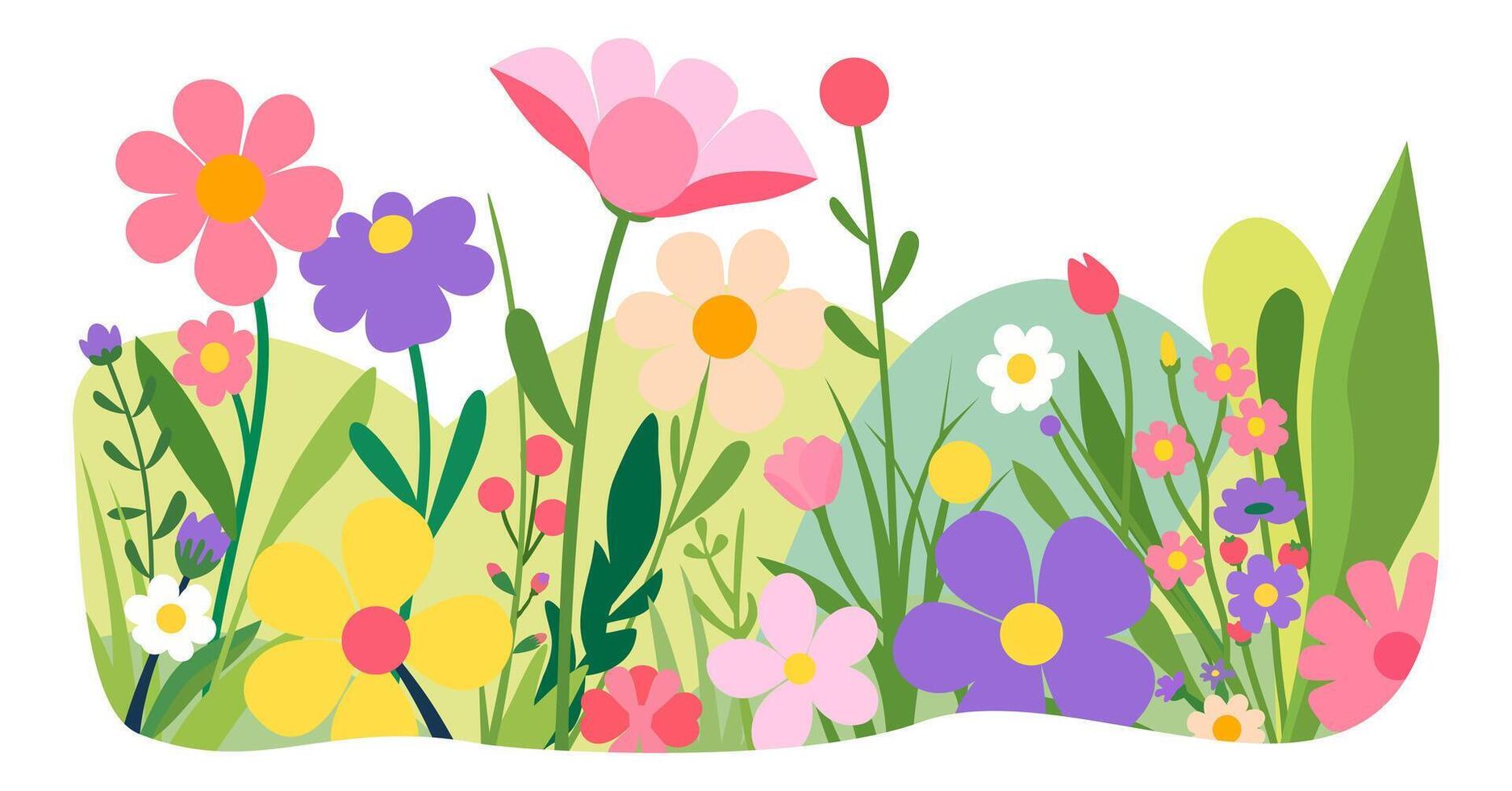 Wildflowers. Summer fiield. Fresh flowers, herbs and grass. isolated illustration vector