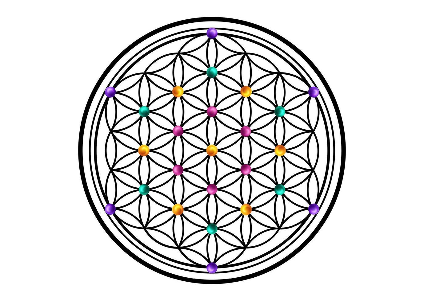 Flower of Life, Yantra Mandala in the colorful seed of life, Sacred Geometry, symbol of harmony and balance. Mystical circle talisman, isolated on white background vector