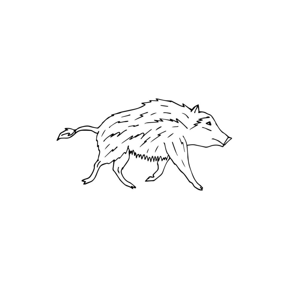 Hand drawn doodle sketch wild boar isolated on white background vector