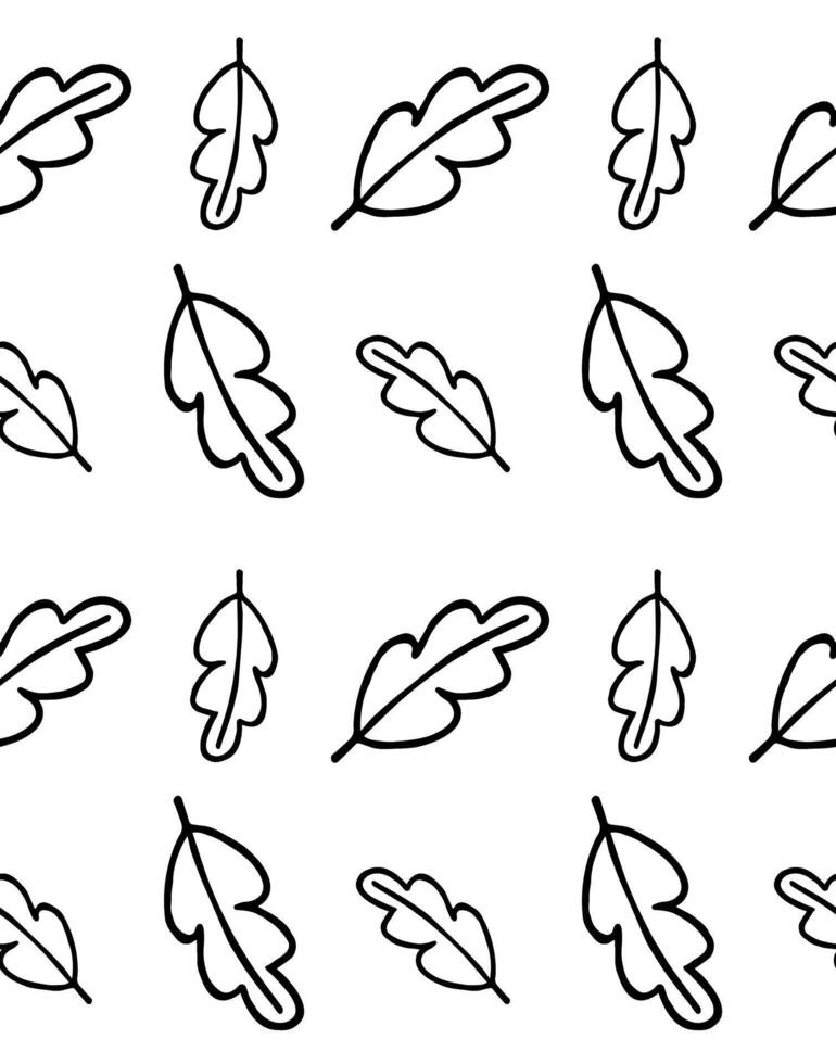 Seamless pattern of hand drawn doodle sketch oak leaf isolated vector