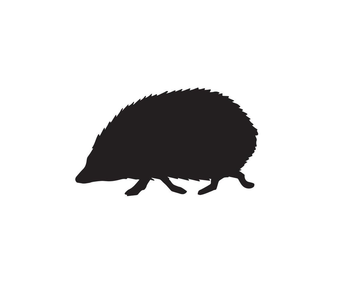 Hand drawn doodle sketch hedgehog isolated vector