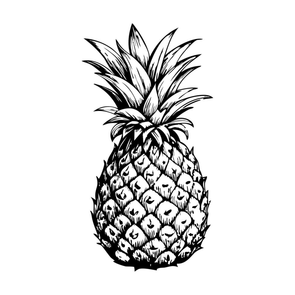 A pineapple is drawn in black and white vector