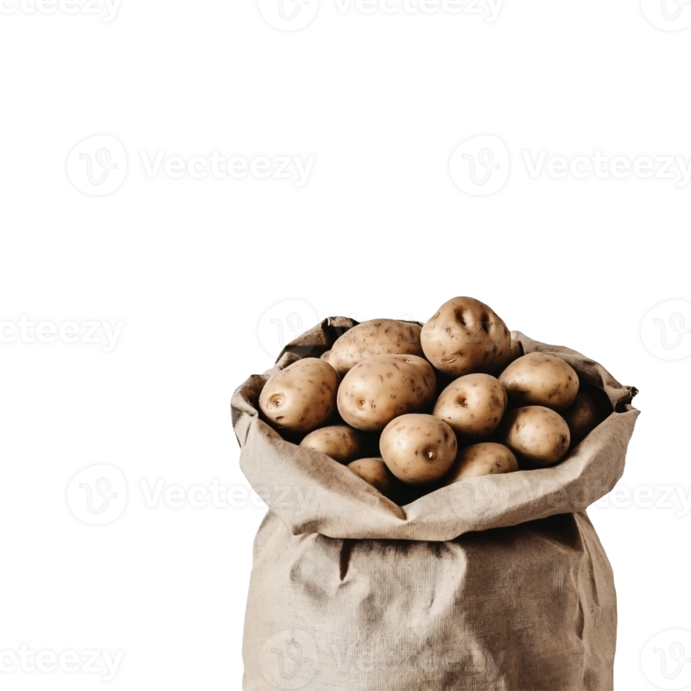Handpicked potatoes in a crumpled paper bag png