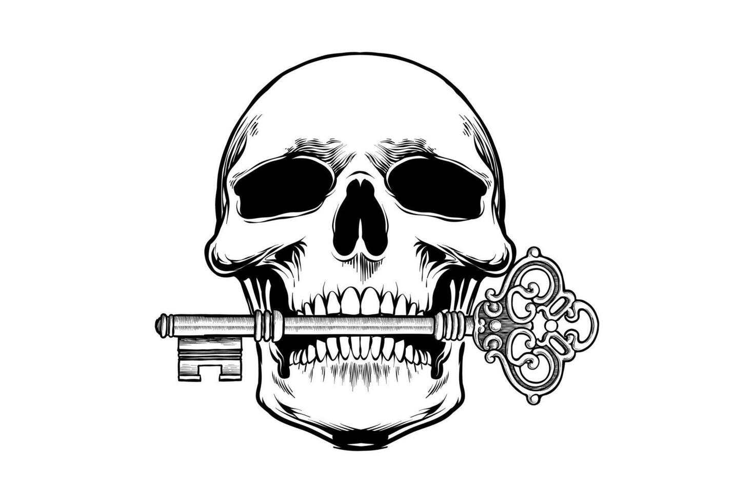 illustration drawing of skull biting key vector