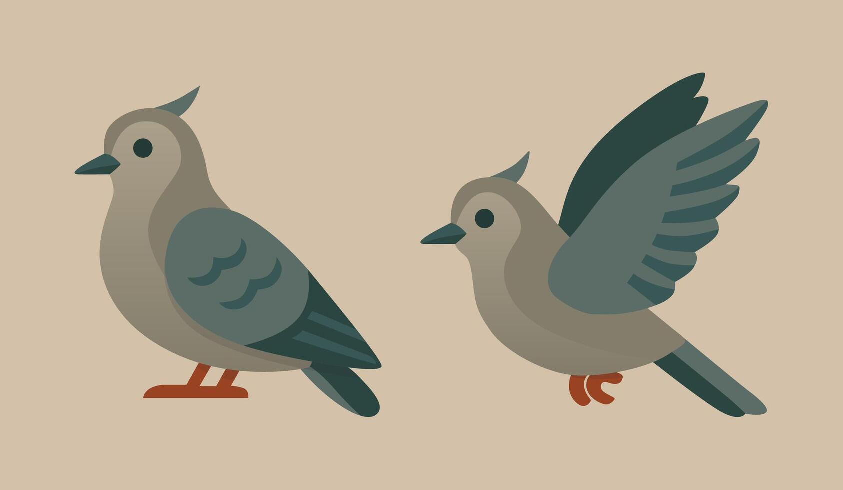 Set of Pigeons Bird Flat Illustrations vector