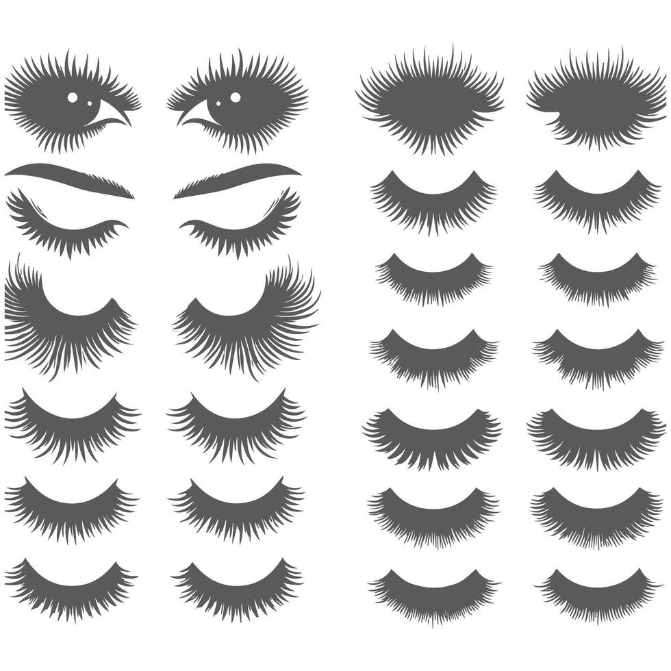 Collection of stylish eyelashes in different designs. vector